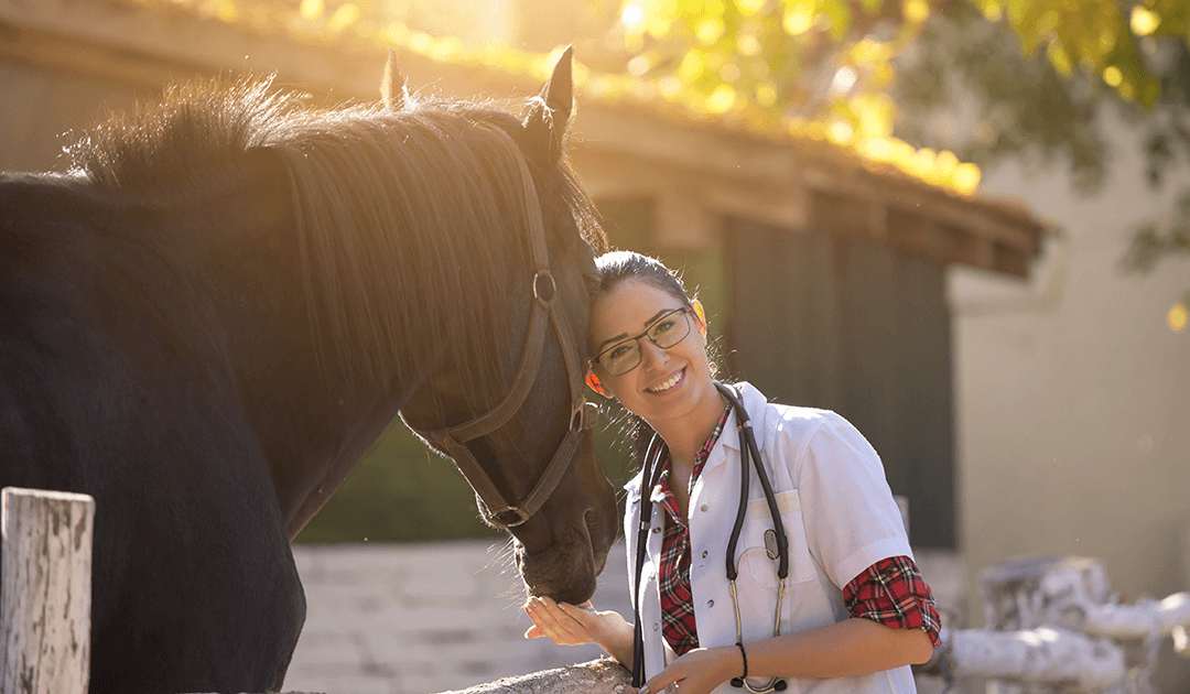 Alternative to PRP for Equines: Why Consider RenoVō®