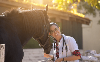 Alternative to PRP for Equines: Why Consider RenoVō®