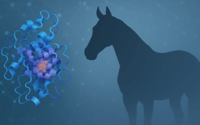 The Role of TIMP-2 in RenoVō®: A Key Component in Amniotic Tissue Allografts for Equine Use