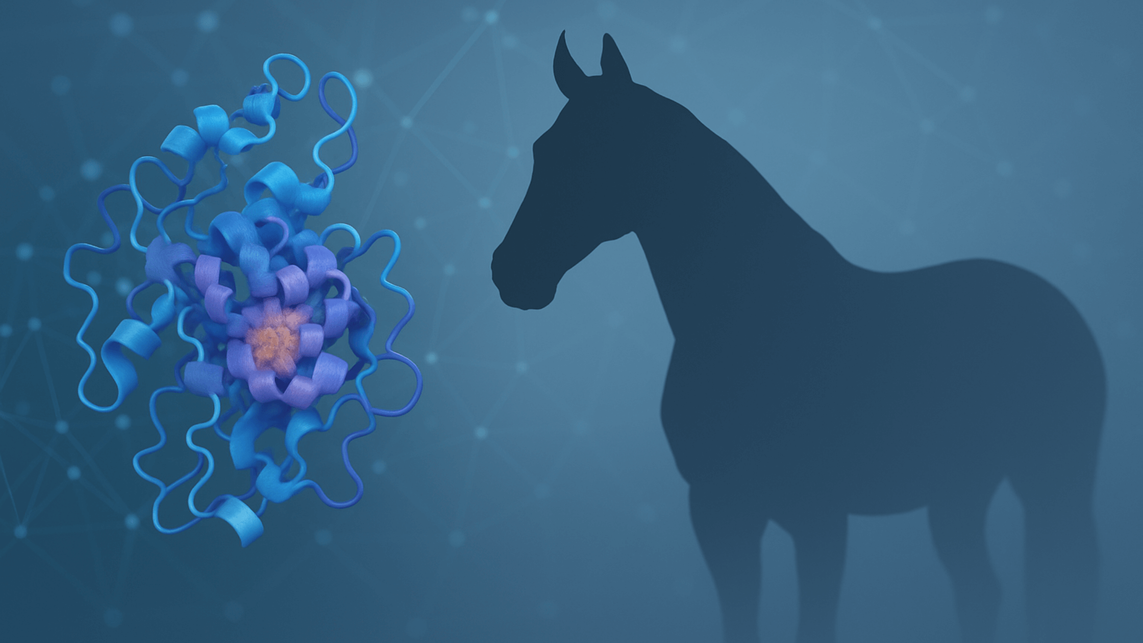 A horse's silhouette stands next to a complex, three-dimensional molecular model of the TIMP-2 protein, symbolizing the scientific foundation of RenoVō® equine regenerative medicine.