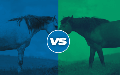 RenoVō® vs. Alpha2EQ®: Comparing Equine Regenerative Therapies for Veterinary Use
