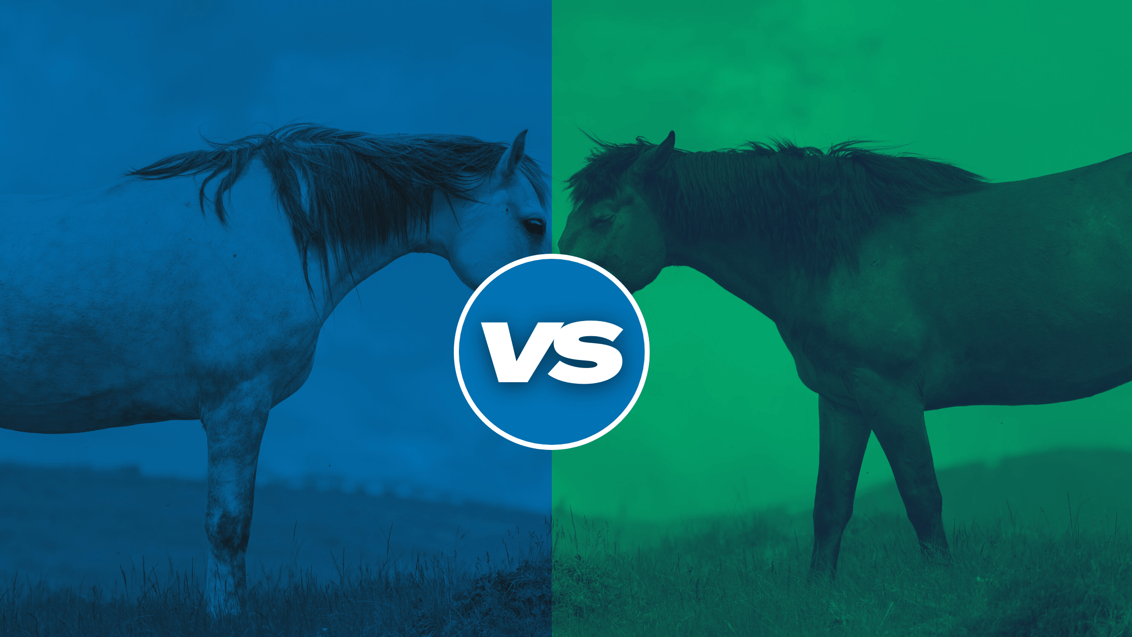A visual comparison of two horses, one blue-tinted for RenoVō and one green-tinted for Alpha2EQ, with a 'VS' symbol in the center, representing the comparison of two equine regenerative therapies.