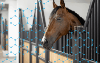 What’s the Difference Between RenoVō® and PRGF?