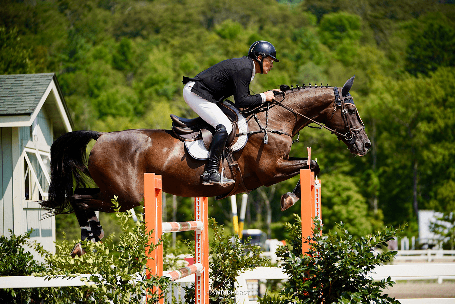 Renovo Athlete - Brittany Pozzi Tonozzi