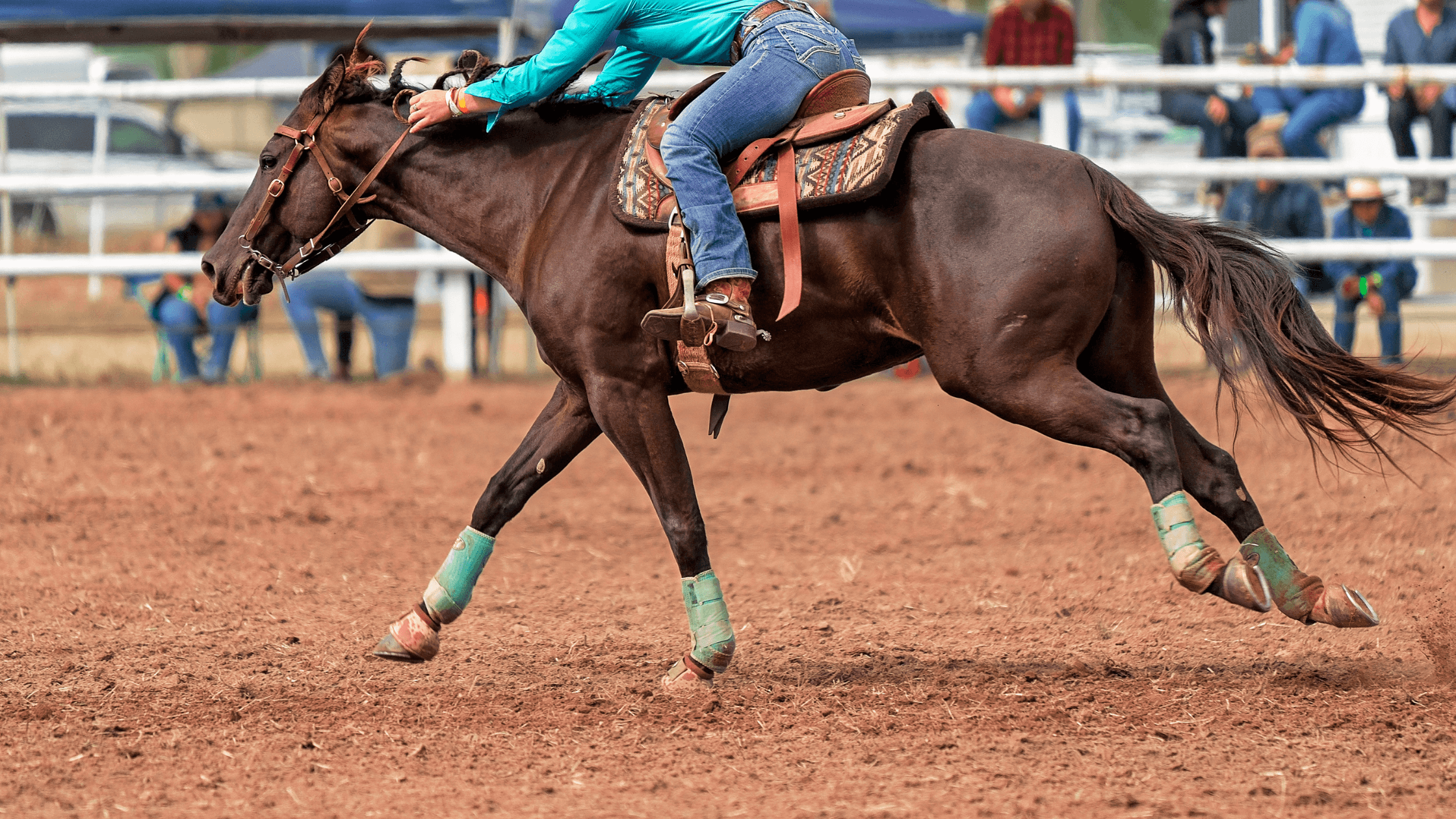 A chestnut cutting horse performing a sharp turn in a dirt arena, illustrating the high-impact stress placed on the stifle joints during performance.