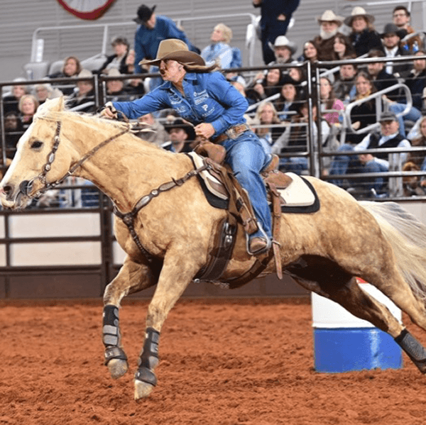 Cedar Creek Gypsy Horses