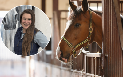 Beyond the Joint: How One Equine Veterinarian Is Using RenoVō® Across Her Practice