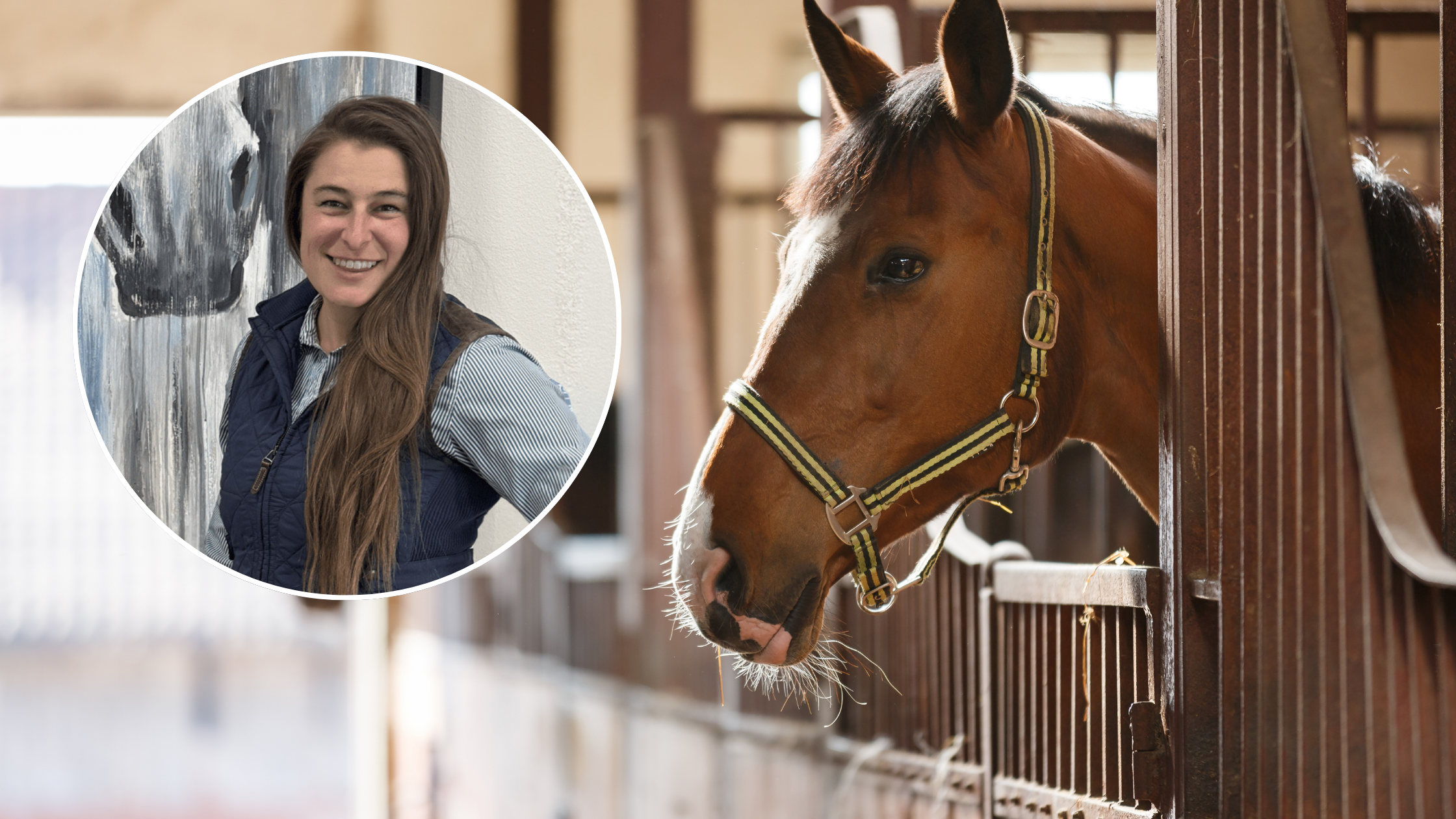 Dr. Bree Valensin equine veterinarian using RenoVō® regenerative therapy in her practice