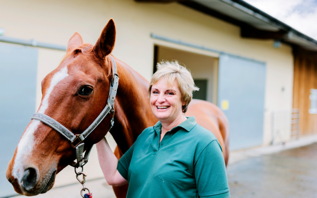 Why Are Equine Vets Choosing RenoVō® Over PRP and Stem Cell Therapy?