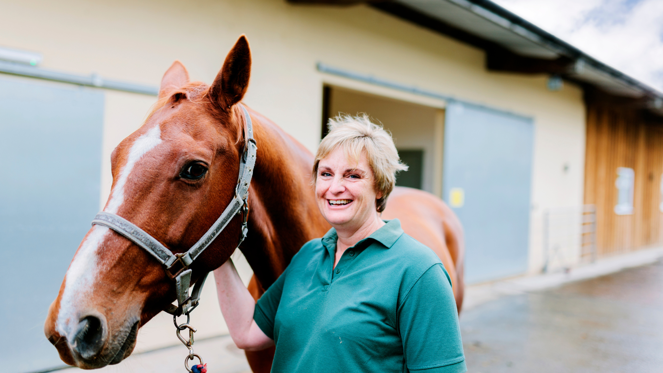 Female equine veterinarian standing with a chestnut horse outside a stable, a RenoVo practitioner discussing regenerative therapy alternatives to PRP and stem cell treatment
