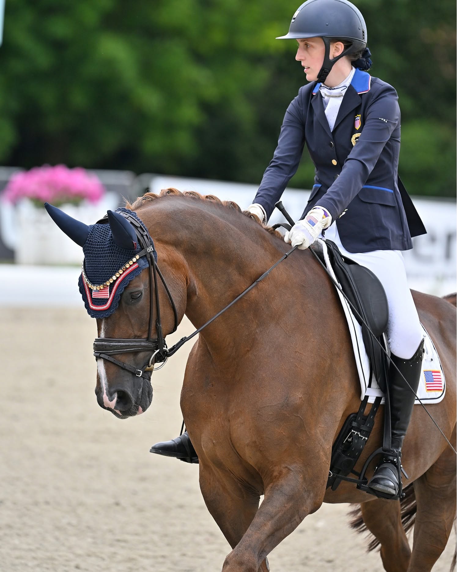 Fiona Howard in navy competition jacket riding chestnut horse Diamond Dunes during a Para dressage freestyle test